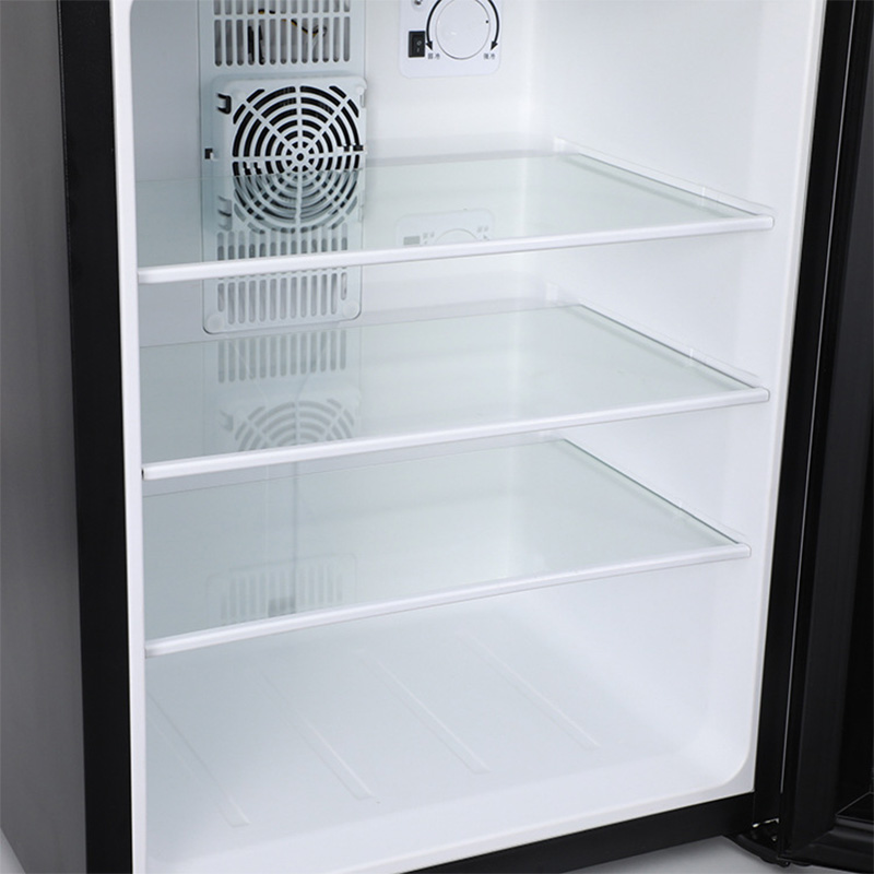 Mini Fridge Cooler 40L Refrige - đánh giá và giá Wine Beer Mini Fridge